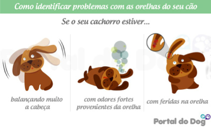 Clínica Veterinária 4 Patas
